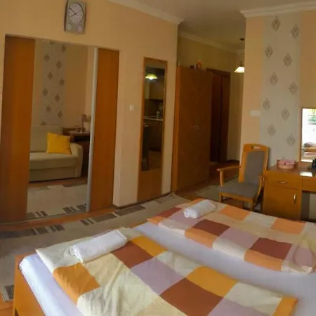 Panorama Wellness Apartment Hotel 아파트